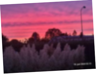 Solnedgang